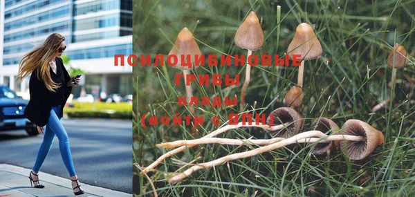 прущая мука Дмитриев