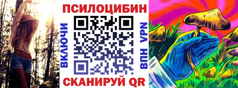 Псилоцибиновые грибы Cubensis  Купить где  Кремёнки 