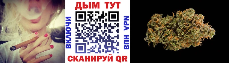 Марихуана планчик  Купить  Кремёнки 